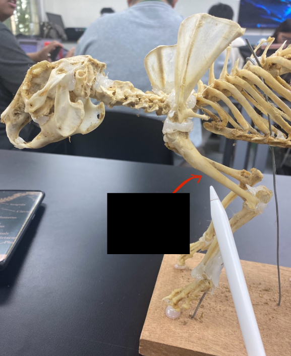 <p>What part is this</p>