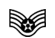 <p>What rank is this and in which branch?</p>