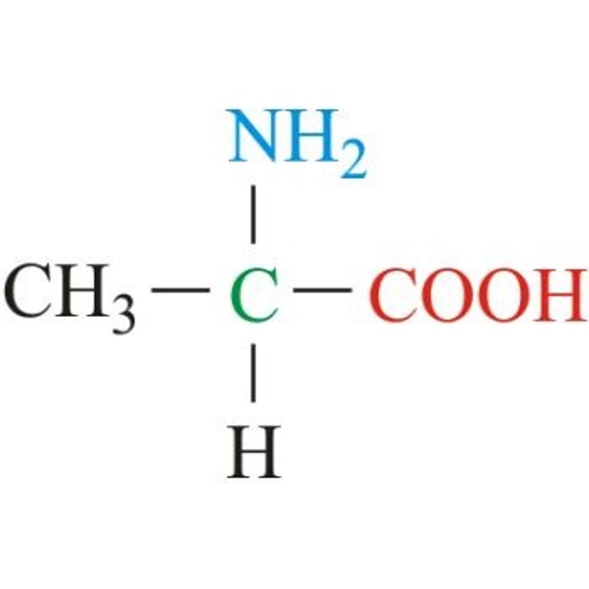 <p>Aliphatic (non-polar)</p><p>Methyl for R, a simple functional group to start just like "A" starts alphabet</p>