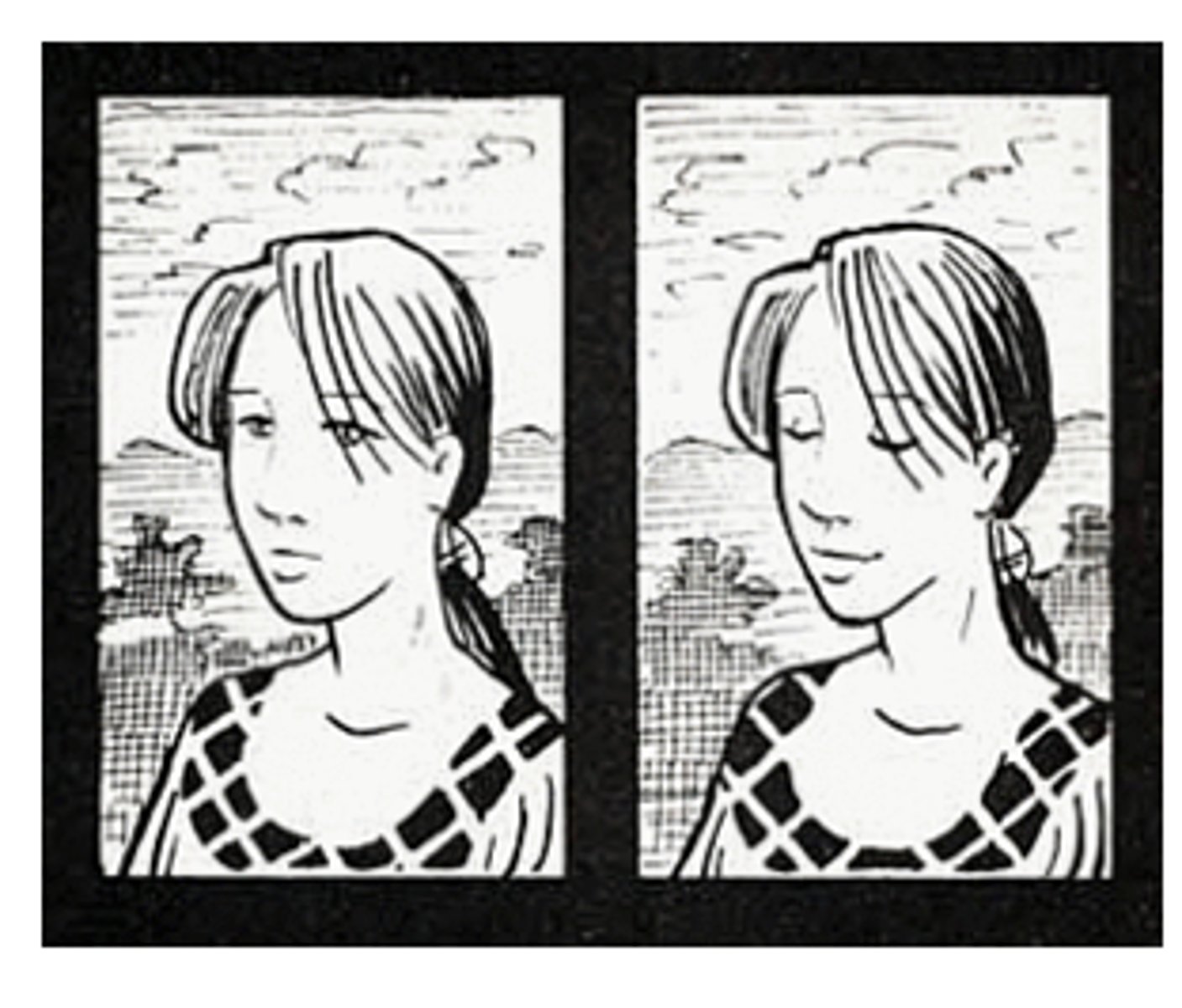 <p>transitions across a very short period of time (second to second).</p>