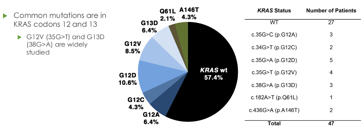 <p>EGFR RAS/RAF/MAPK pathway in colorectal cancer</p><p>-	Tumors of the large intestine</p><p>-	EGFR is overexpressed/amplified (extra copies on cell surface) in colon cancer</p><p>o	Treated with EGFR monoclonal antibodies (cetuximab and related drugs)</p><p>-	KRAS mutation</p><p>o	Indicates that EGFR drugs will not work</p><p>-	In KRAS wildtype, a BRAF mutation</p><p>o	Indicates that EGFR drugs will not work</p><p>-	KRAS and BRAF mutations turn on the pathway even when EGFR is blocked</p><p></p>