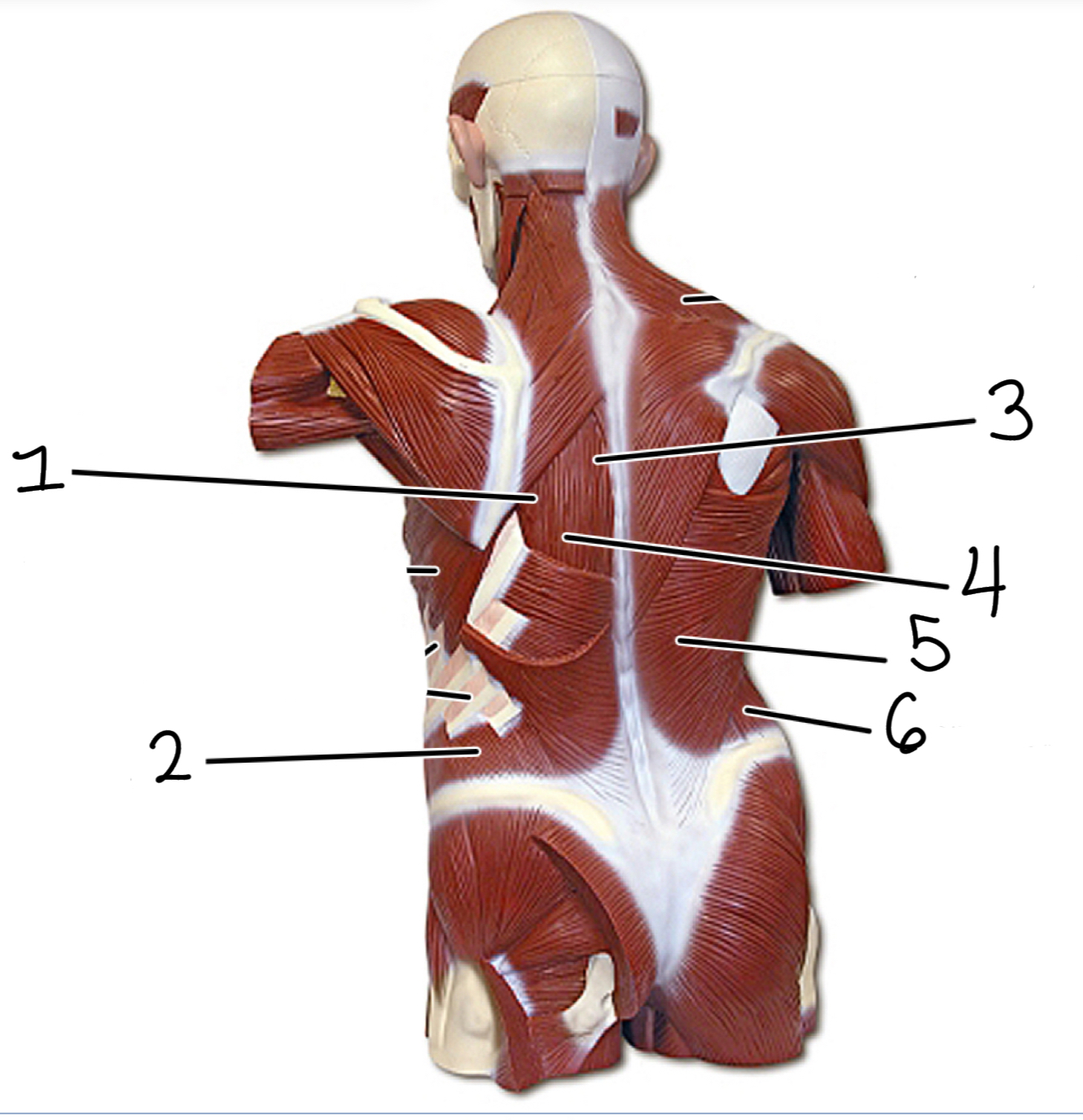 <p>3</p>