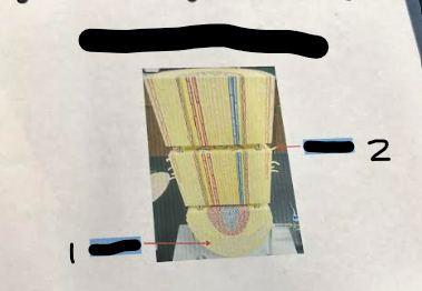 term image
