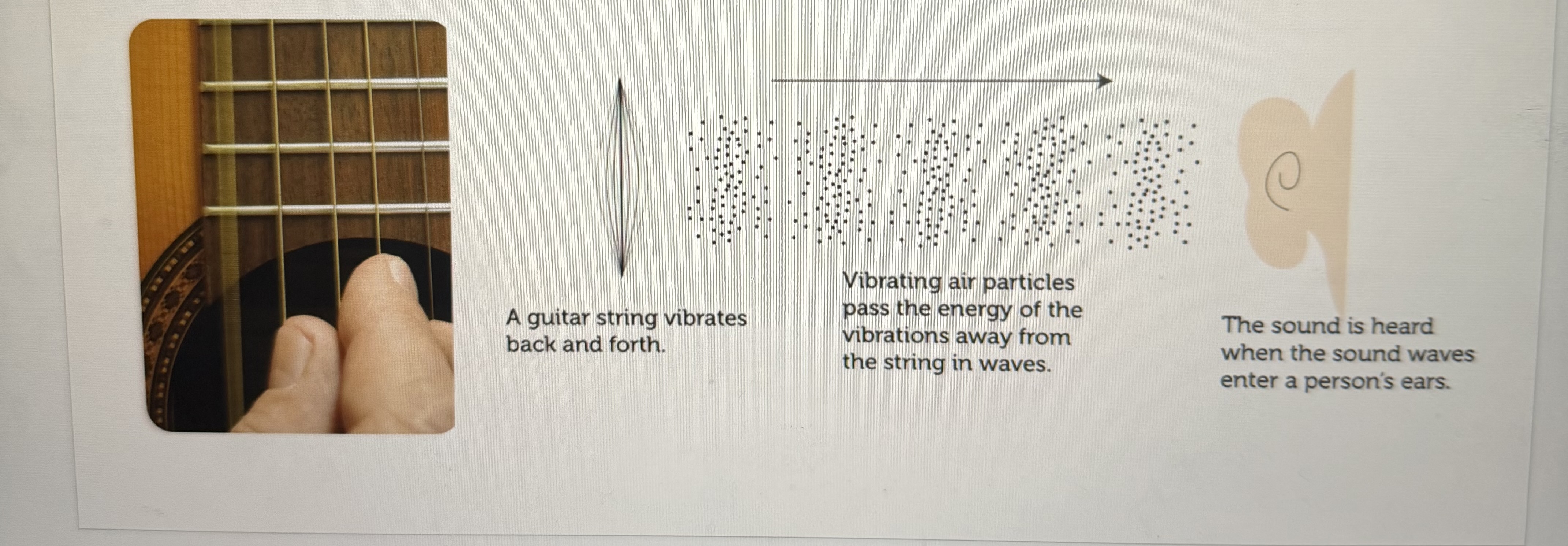 <p>Longitudinal waves created when particles of the medium vibrate back and forth</p>