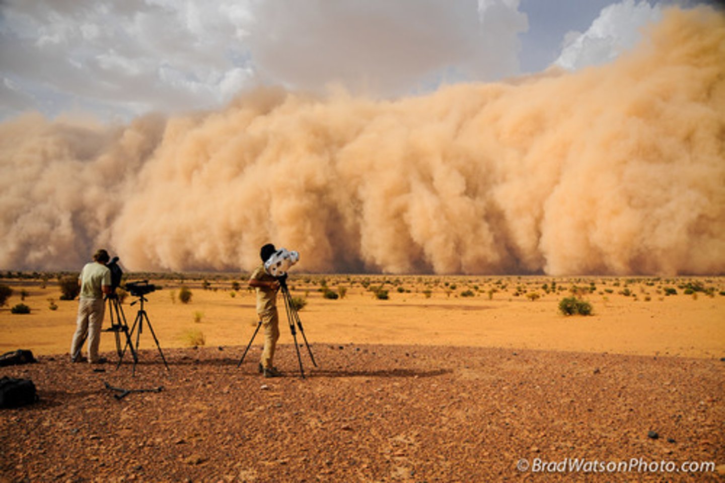 <p>Shā chén bào Sandstorm</p>
