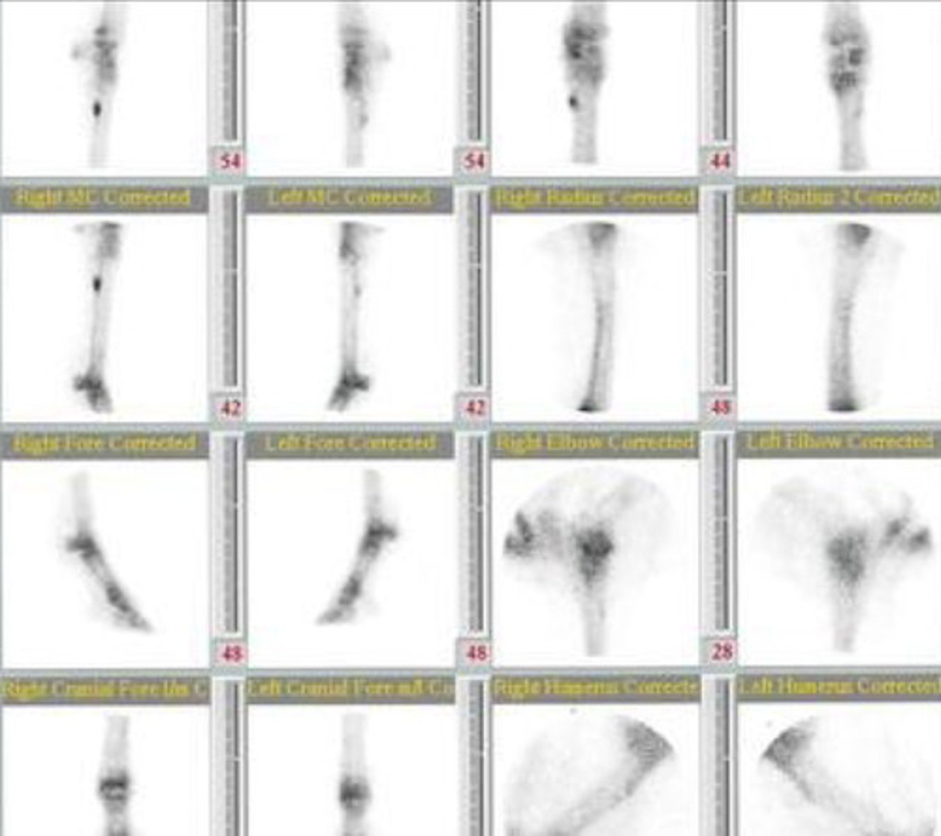 <p>The following are all indications for what imaging modality?</p><p>- fail to localize lameness with blocks</p><p>- localize lameness but no lesions seen on other modalities</p><p>- multiple limb lameness</p><p>- upper limb or axial MSK issue (not easily accessible for rads and hard to block)</p><p>- suspect fracture not imaged on rads</p>