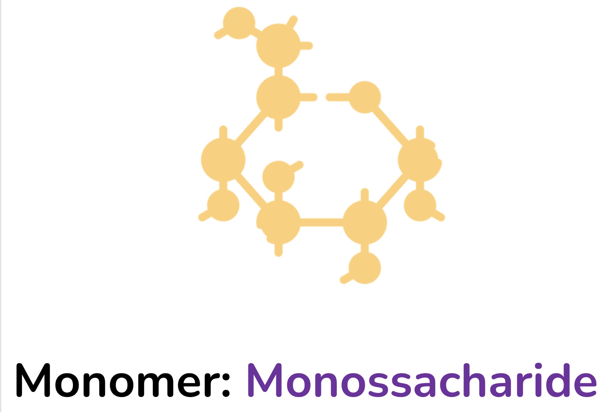<p>Monosaccharide</p>