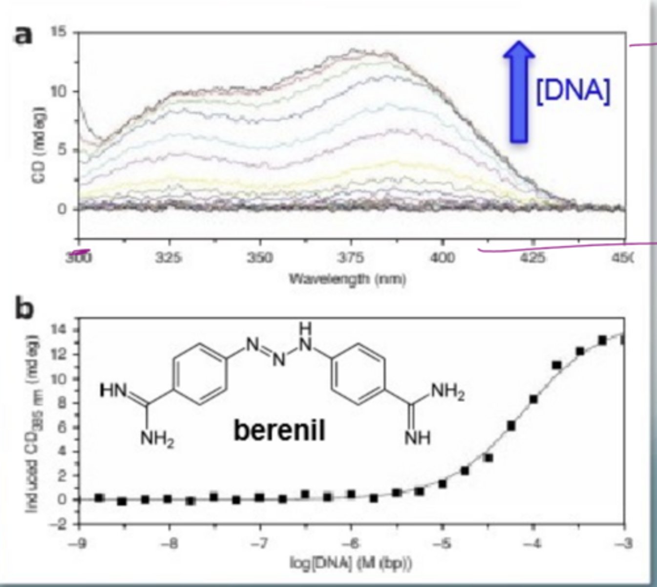 <p>some samples e.g. berenil are achiral so no CD on its own</p><p>Bind to DNA (chiral) to get a CD signal as it has benefitted from being in a chiral environment</p><p>flat line in top graph= no binding</p><p>see signals as DNA conc increases</p>