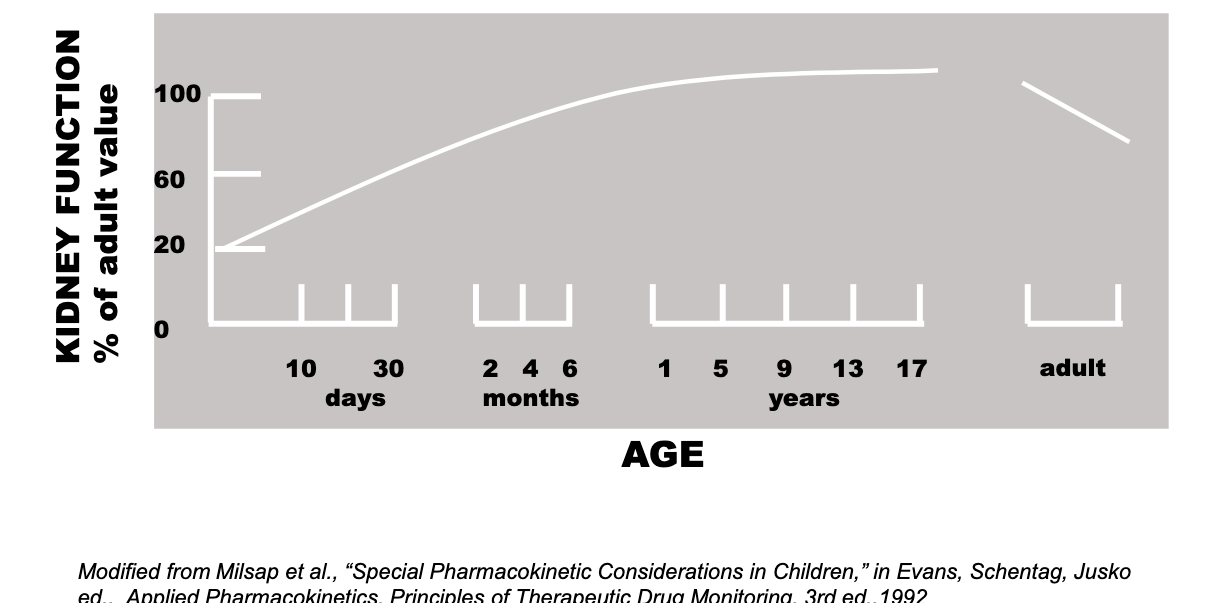 <ul><li><p>developmental changes in kidney function</p></li><li><p>kidney function increasing till you reach adult levels around like 9??? and then elderly decreases</p></li></ul><p></p>
