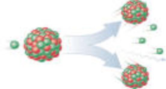 <p>What is a fission reaction?</p><p><em>Fission reactions produce/capture neutrons. They can become involved in another fission reaction.</em></p>
