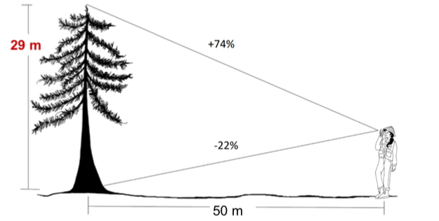 <p><strong>Height</strong> = Tree height from ground to tip</p><p></p><p>At stand level, height can be =</p><p><strong>Mean height </strong>= average height of all trees</p><p><strong>Dominant height </strong>= average height of the tallest trees </p>