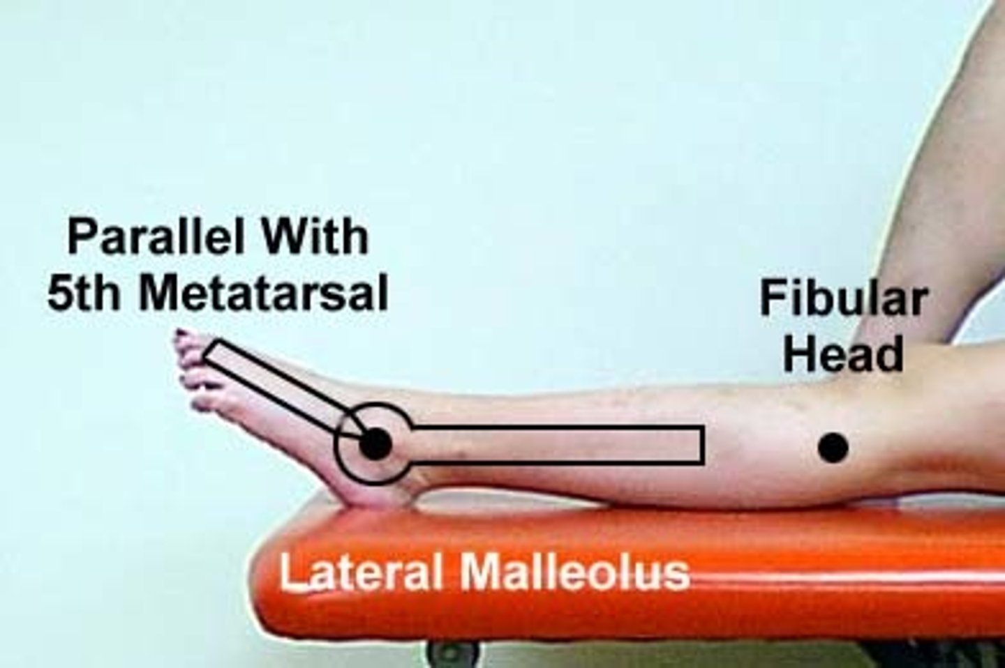 <p><span class="bgP">Fulcrum:</span> <em>lateral </em>aspect of <strong><em>lateral malleolus</em></strong></p><p><span class="bgB">Proximal arm</span>: <em>lateral midline of fibula</em> using <strong><em>head of fibula</em> </strong>as reference</p><p><span class="bgY">Distal arm:</span> <strong><em>parallel</em> </strong>to <em>lateral aspect</em> of <strong><em>5th metatarsal</em></strong></p>