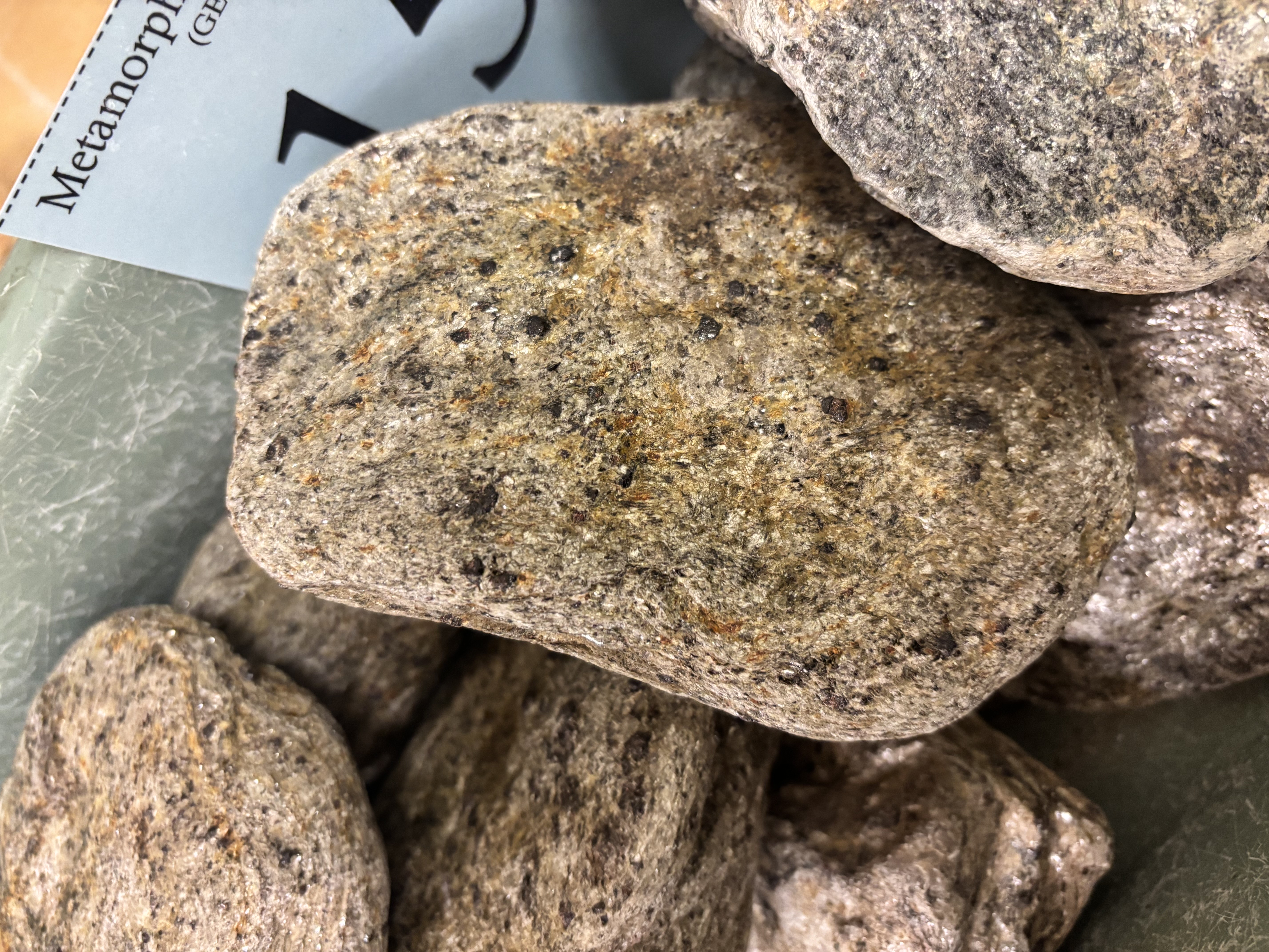 <p>Schist containing abundant garnet and muscovite; indicates medium to high metamorphic grade.</p>