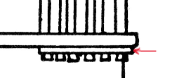 <p>a short band between the tenia and the guttae</p>