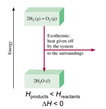 <p>Any process where heat is given off. Transfers thermal energy from system to surroundings.</p>