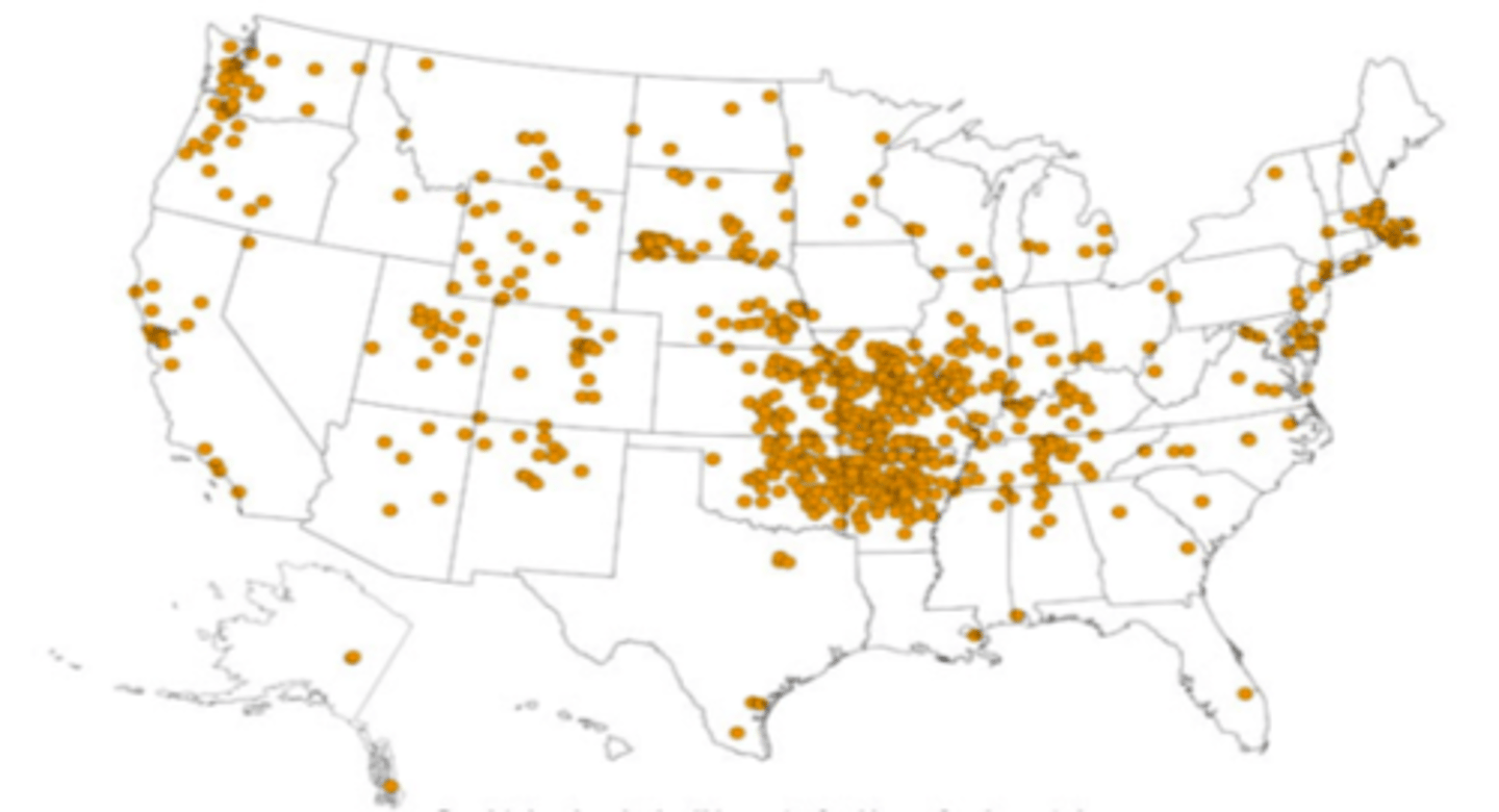 <p>local in population</p>