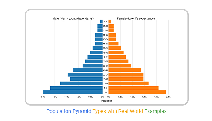 <p>shows a snapshot of the current population, including age + gender </p><ul><li><p>shows an expanding population b/c many young individuals</p></li></ul><p></p>
