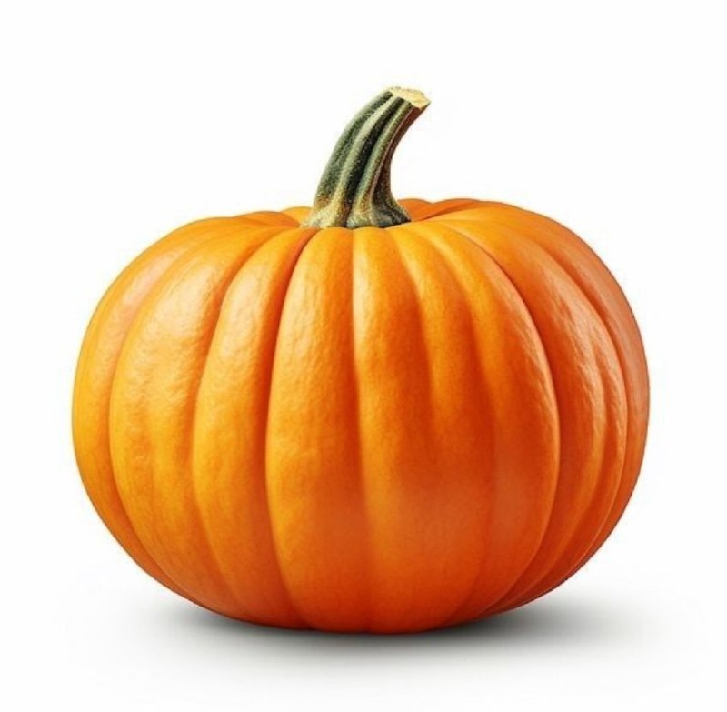 <p>pumpkin</p>