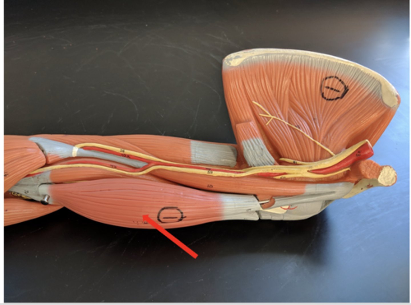 <p>what is this?</p>