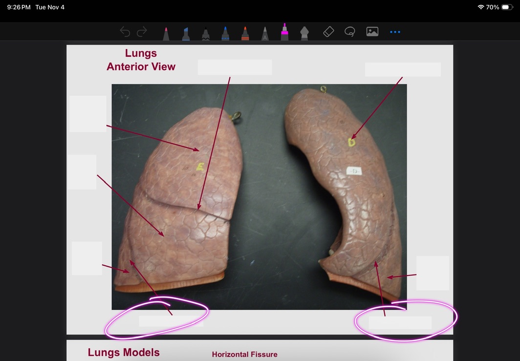 <p>What is this?</p>