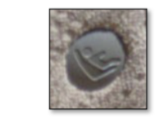 <p>What is this?</p>