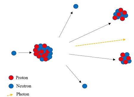 is when a large nuclide is bombarded with neutrons resulting in the large splitting into several smaller daughter nuclide. It releases more neutrons and a large quantity of energy.

ex: nuclear weapons