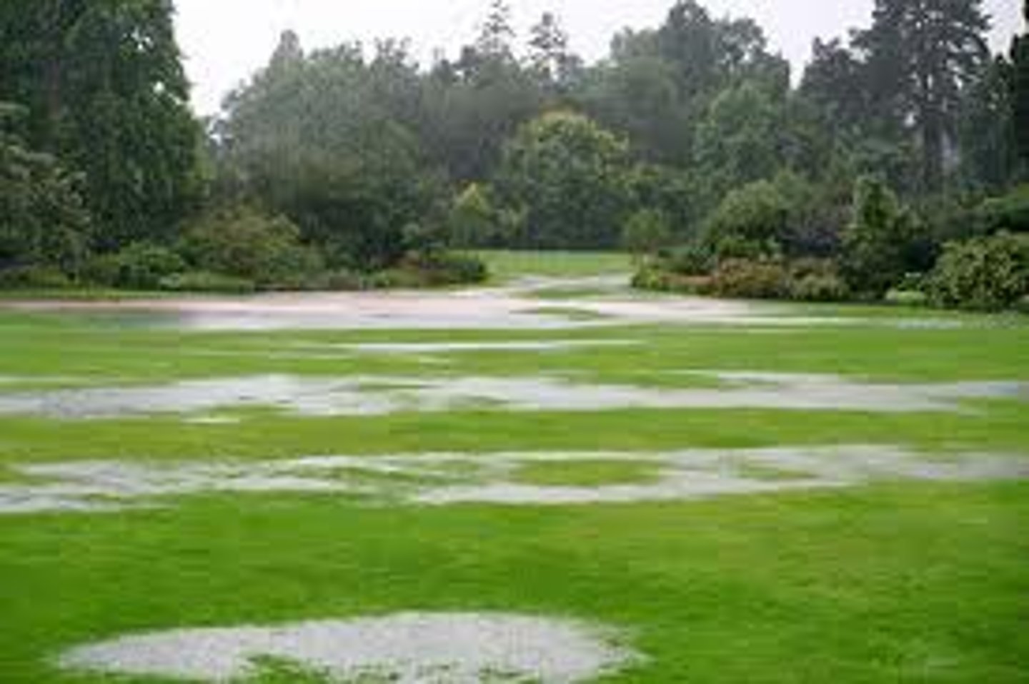 <p>saturation of soil with water resulting in a rise of the water table</p>
