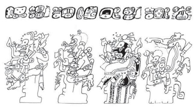 term image