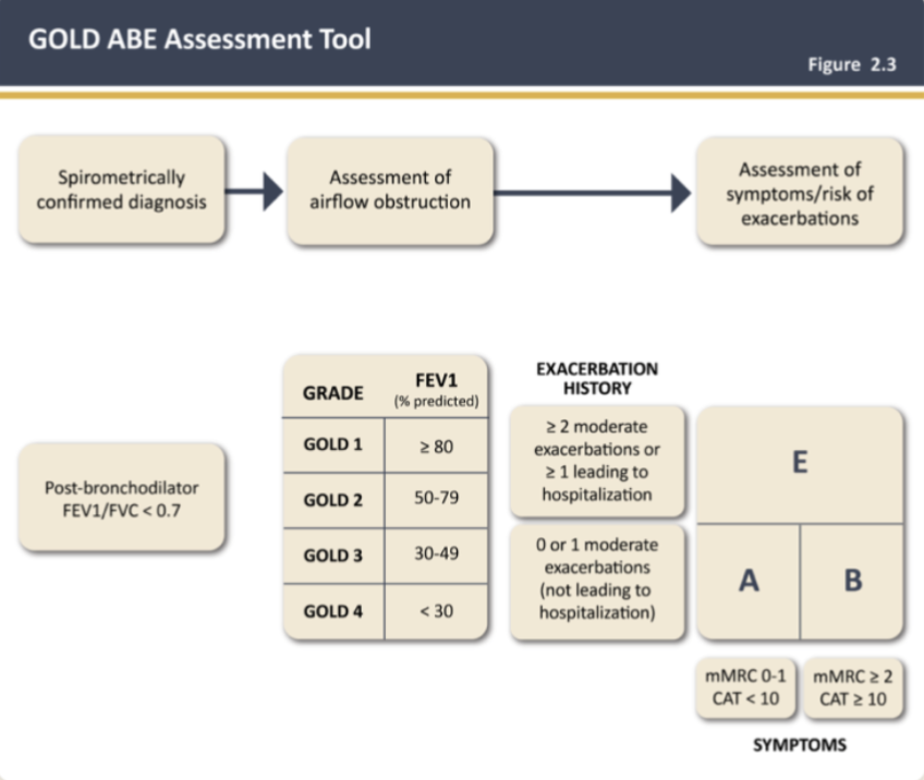 * __**Group A and B**__: 0 or 1 moderate exacerbations (not leading to hospitalization)
* __**Groups E**__: ≥ 2 moderate exacerbations or ≥ 1 leading to hospitalization