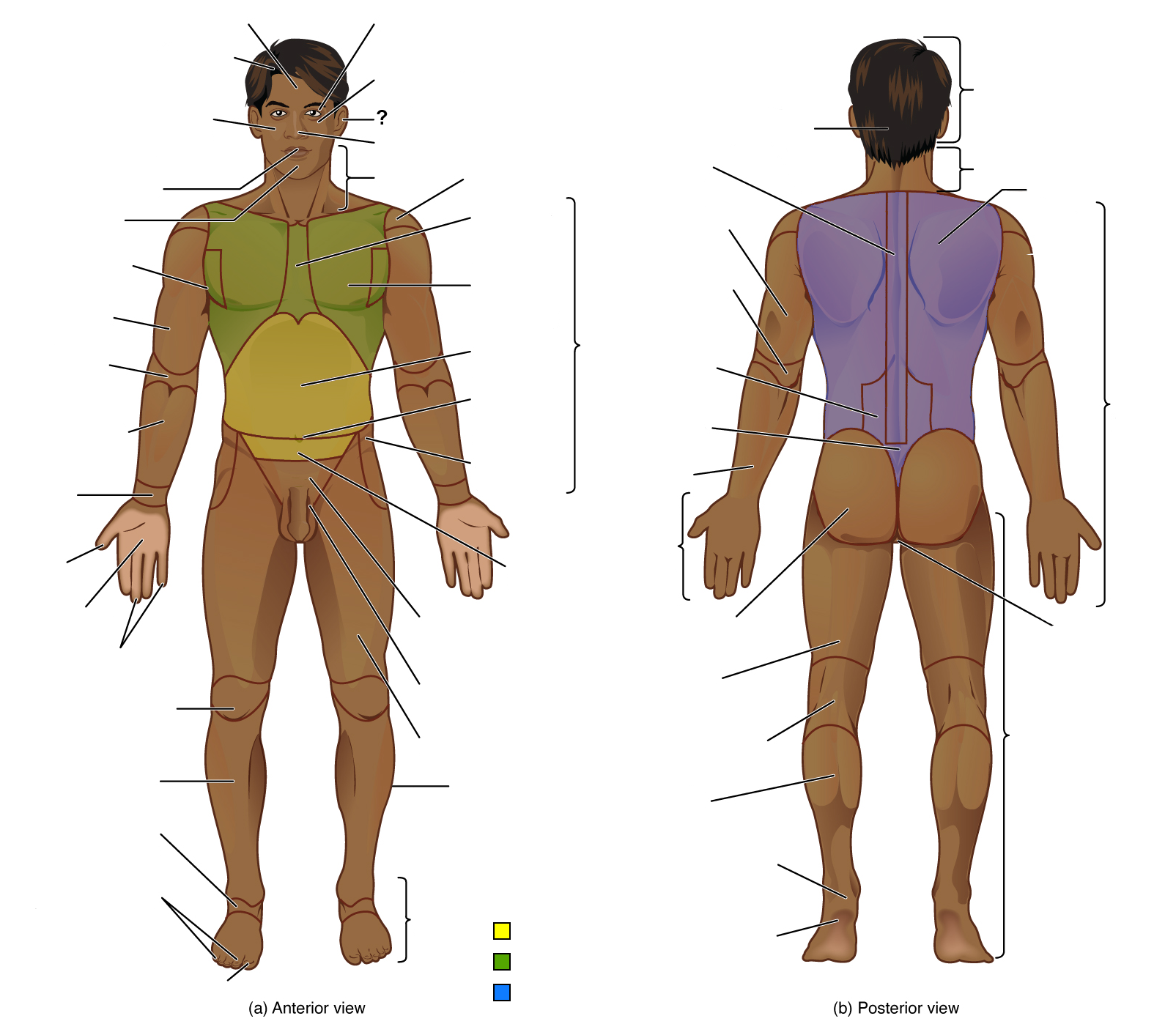 <p>Identify the indicated region</p>