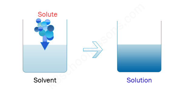 <p>solute </p>