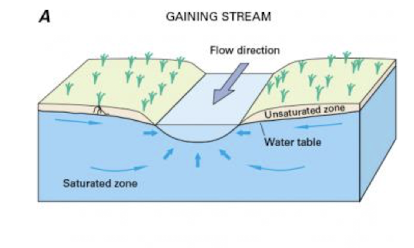 <p>receive groundwater discharge from watershed, adds to streamflow</p>