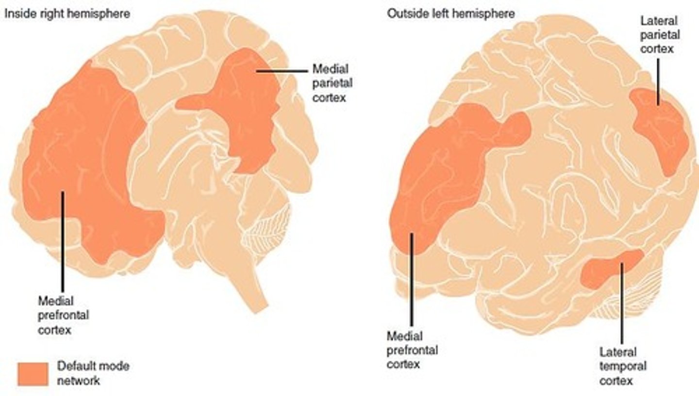 <p>A network of brain regions that corresponds to mind wandering and self-referential thought.</p>