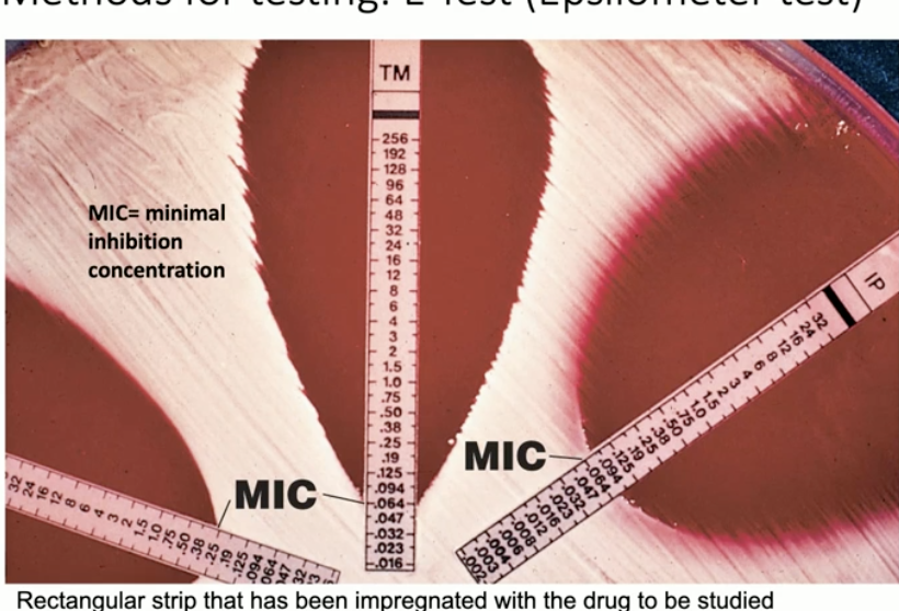 <p>like a disk diffusion; determine the specific concentrations of certain antibiotics  bacteria are most resistant/sensitive to</p>