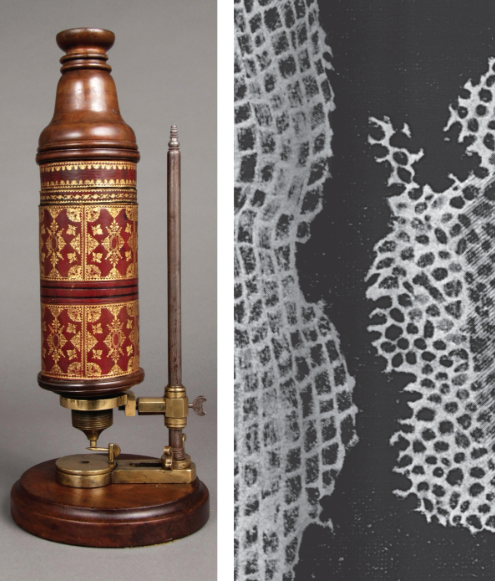 <p>Made improvements to the microscope with two lenses and observed what we call cells; published Micrographia in 1665</p>