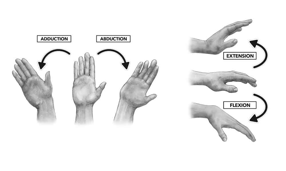 <ul><li><p><strong>2 degrees; biaxial</strong></p></li><li><p>frontal and sagittal plane</p></li><li><p>mediolateral and AP axis</p></li><li><p>flexion, extension</p></li><li><p>adduction, abduction (waving)</p></li></ul>