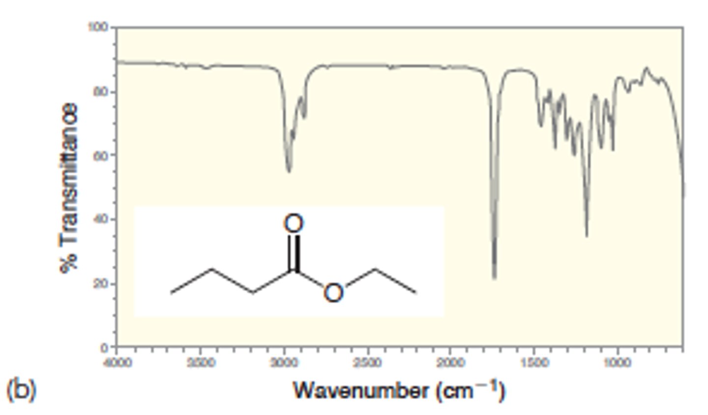 <p>Ester, Carboxylic acid (C - - O)</p>