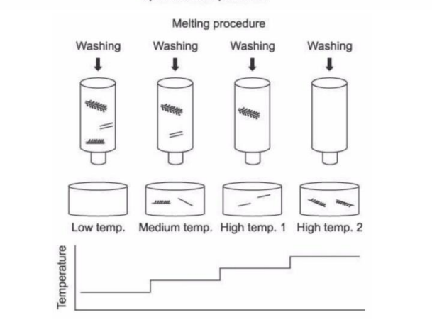<ol><li><p>ds DNA bound to the column</p></li><li><p>the mixture is heated</p></li><li><p>mixture is heated in small steps</p></li><li><p>each step - column washed</p></li><li><p>sequence melt - ssDNA washed off</p></li><li><p>temp at which labelled DNA comes off the column reflects the amount of similarity between sequences</p></li><li><p>combined results - determine the degree of genetic similarity between organisms</p></li></ol>