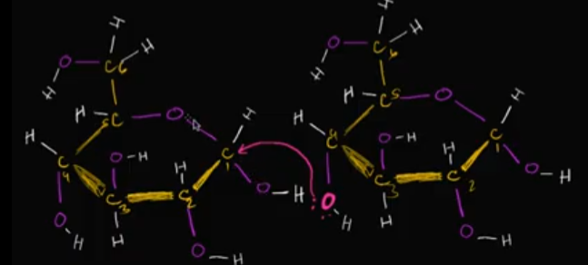 <p>It’ll bond with the carbon that already has two oxygens bonded to it. This is because of the electronegative-ness that entire bond has, making it easy to attract one of the TWO lone pairs on that neon green oxygen!<br><br>Edit this card to see the image of where it could bond!<br><br>The END RESULT is a water molecule floating around!</p>