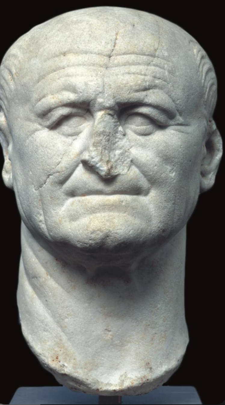 made of marble, a no-nonsense military man who wanted to make a name for himself and his family, distanced himself from Nero, this portrait is very realistic, shows he was an older man. 