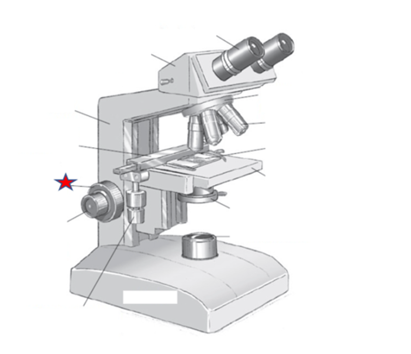 <p>Name the starred region in the image.</p>
