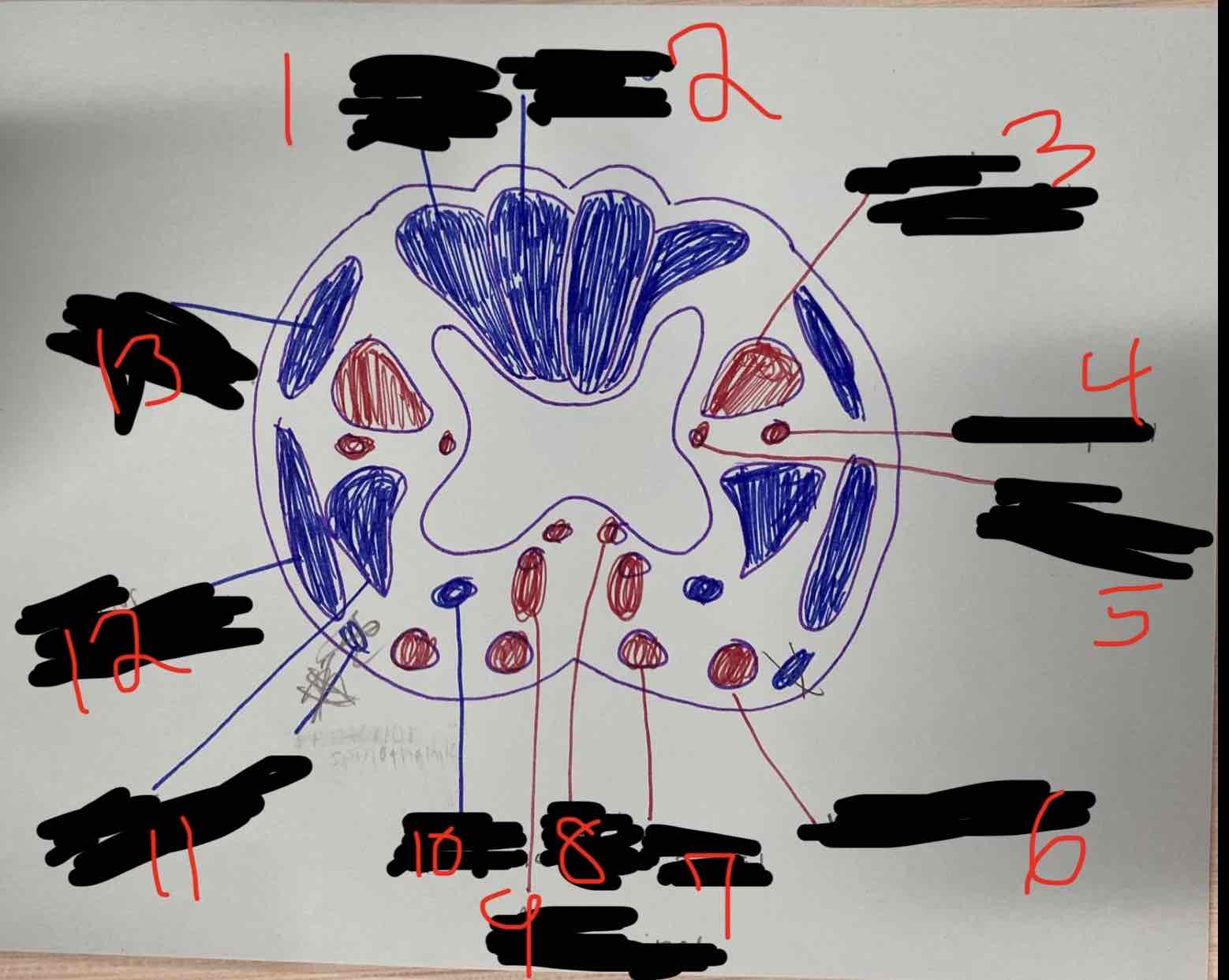 <p><span>What is number 8</span></p>