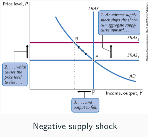 <p>Directly affect price level, can shift SRAS</p><p>Increased world oil prices, in US caused inflation to rise AND unemployment - STAGFLATION</p><p>Raises firms production costs, shift SRAS curve upward, higher price level and output falls, stagflation.</p><p>Over time, this creates downward pressure on wages and prices, so firms cut wages and reduce prices as contracts adjust, falling costs = SRAS shifting downward gradually, price level returns to initial value, and output and employment return to natural levels</p><p>Supply shock has no long-run effect on output</p><p>Also, central bank can expand money supply to shift AD outward and offset supply shock effect - new Eq. where new AD curve meets SRAS2 curve, where price level is still high but output returns to original level.</p>