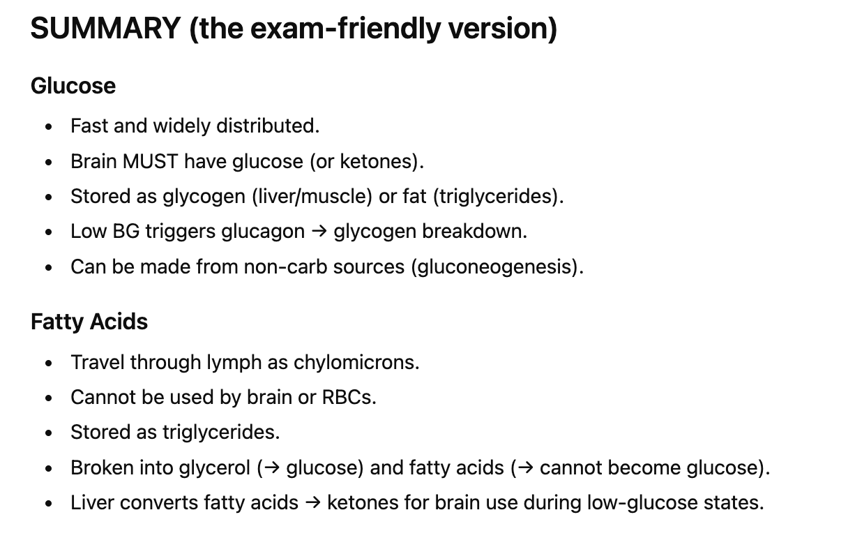 <p><strong>Glucose and fatty acids</strong> are the main sources of energy</p><p></p><p><span style="color: blue;"><strong>Glucose </strong></span><strong>gets turned into glycogen or fat</strong></p><p><strong>Fat</strong> is turned into triglycerides</p><p></p>