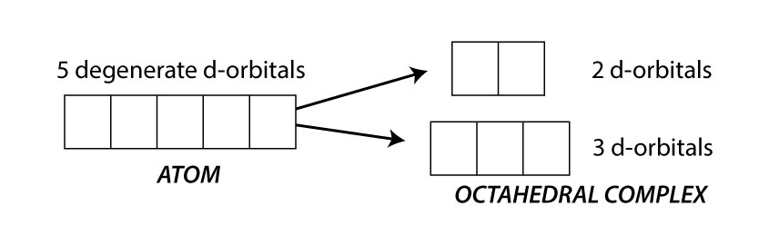 <p>The presence of ligands around the central metal ion causes the d-orbitals to split into two energy levels.</p><p></p><p>The lower energy level contains three d-orbitals and the higher energy level contains two d-orbitals</p><p></p><p><span><span>When visible light is passed through a solution of this ion, some of the energy is absorbed which promotes an electron to a higher 3d orbital. </span></span></p><p></p><p>When light of a particular colour is absorbed, its complementary colour is reflected.</p><p></p>