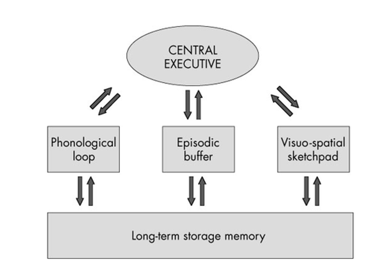 <p>memory system for storing and manipulating small amounts of information for a brief period of time</p>