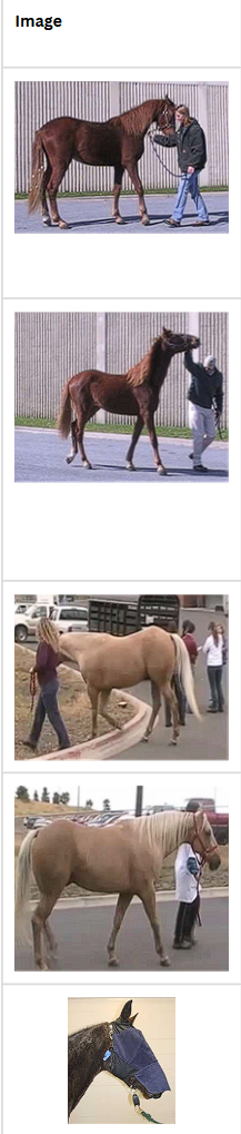 <p>Other Tests for Gait - Name,purpose and what is abnormal</p>