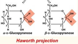 <p>In the alpha anomer, the OH substituent of the anomeric carbon is _____ of the sugar ring from the CH<sub>2</sub>OH group.</p>