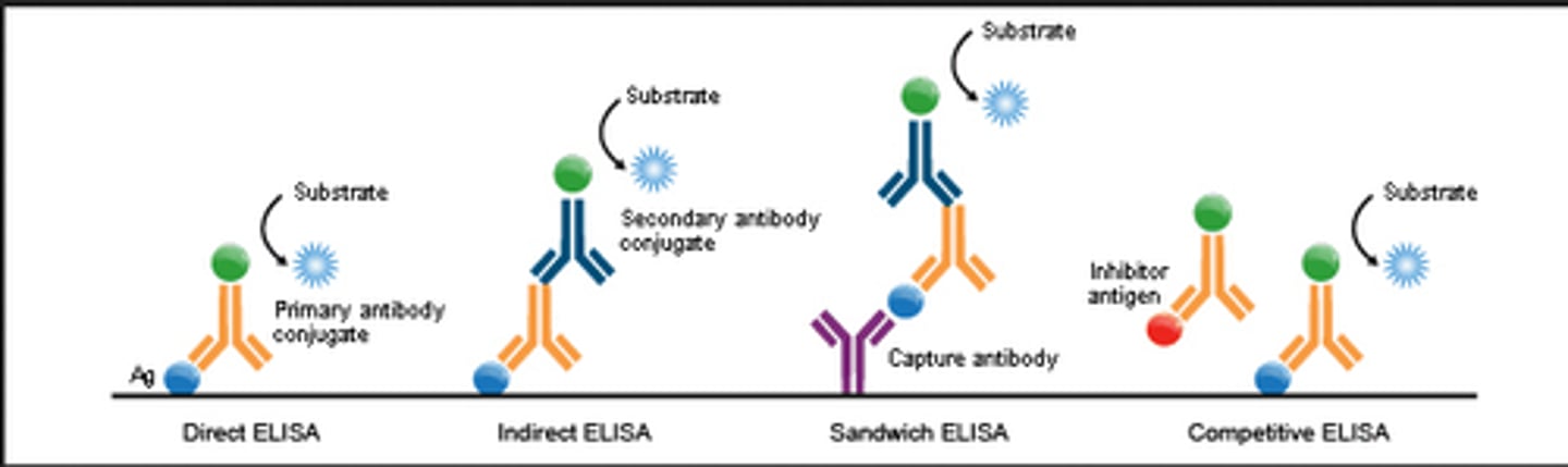<p>three types: direct, indirect, sandwich. Looking for color change to detect antigen.</p>