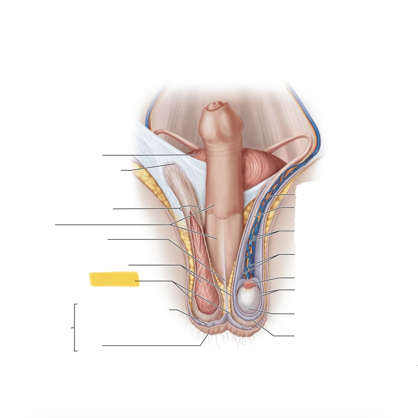 <p>What is this structure?</p>